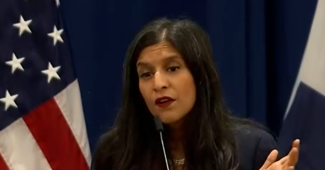 Migrant Crime, Carjackings ‘Don’t Matter to That Many Americans’