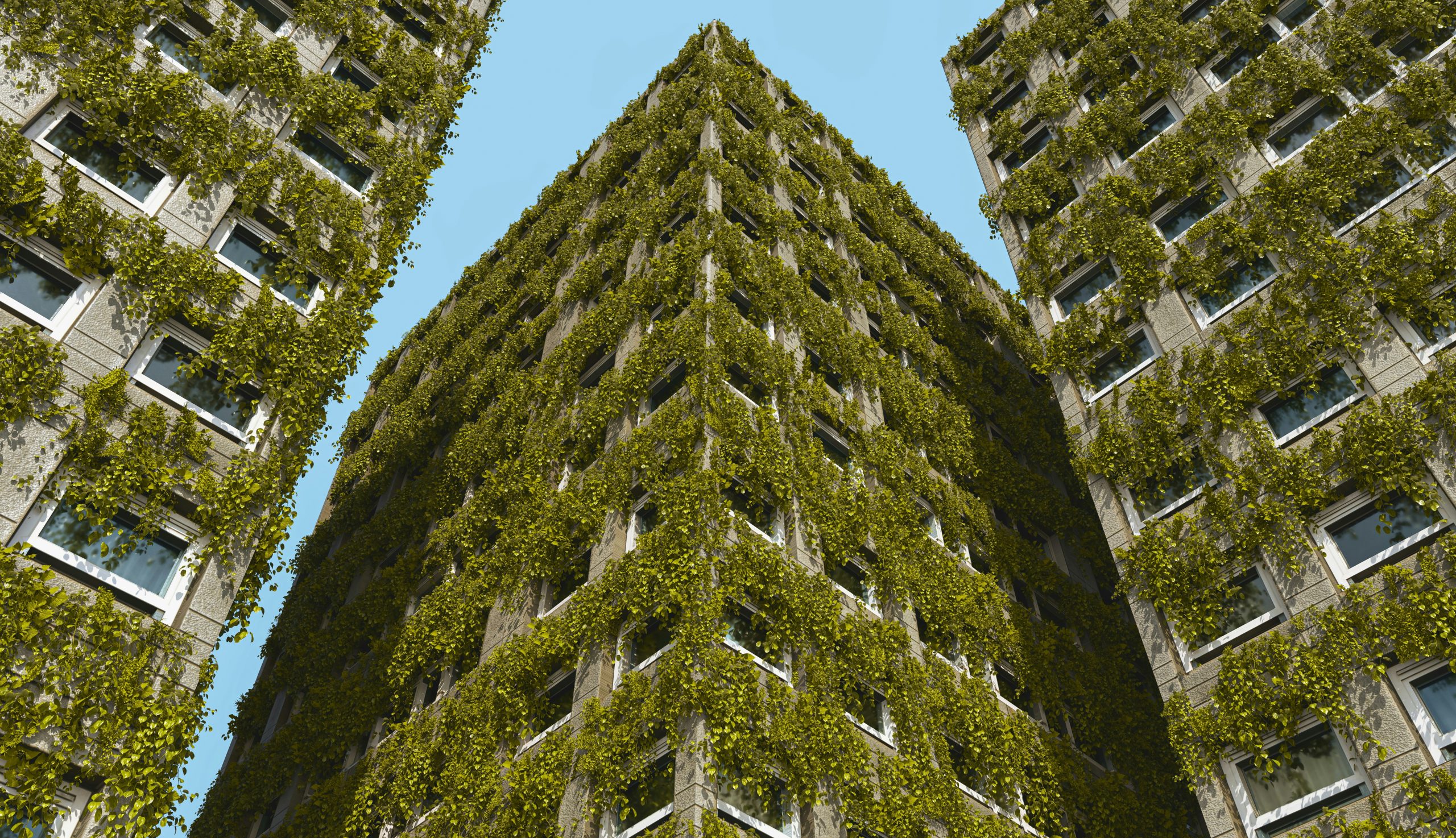 The Rise of Natural Capital as a Global Asset Class