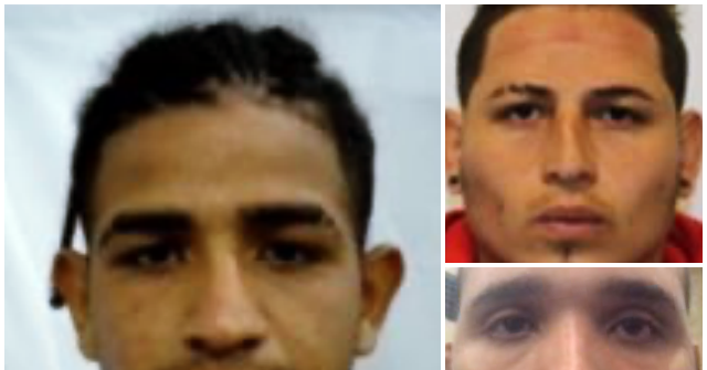Three Illegal Aliens Accused of Beating ICE Agent with Shovel in Minneapolis